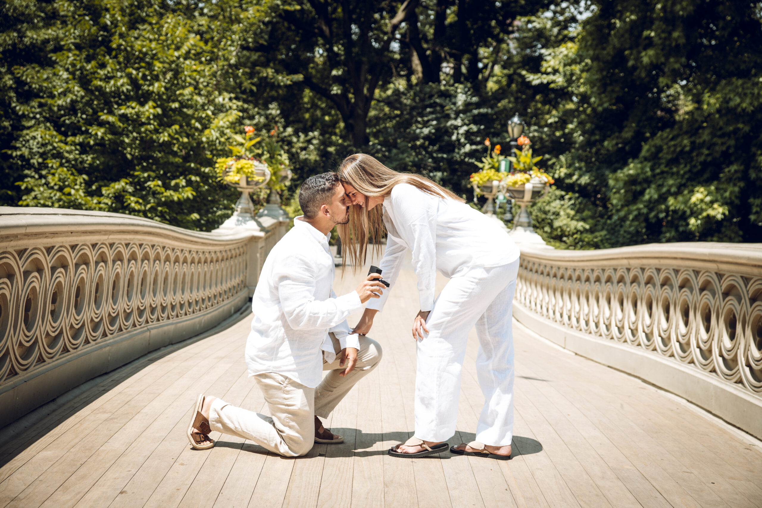 a guy proposal on bow bridge in Central Park